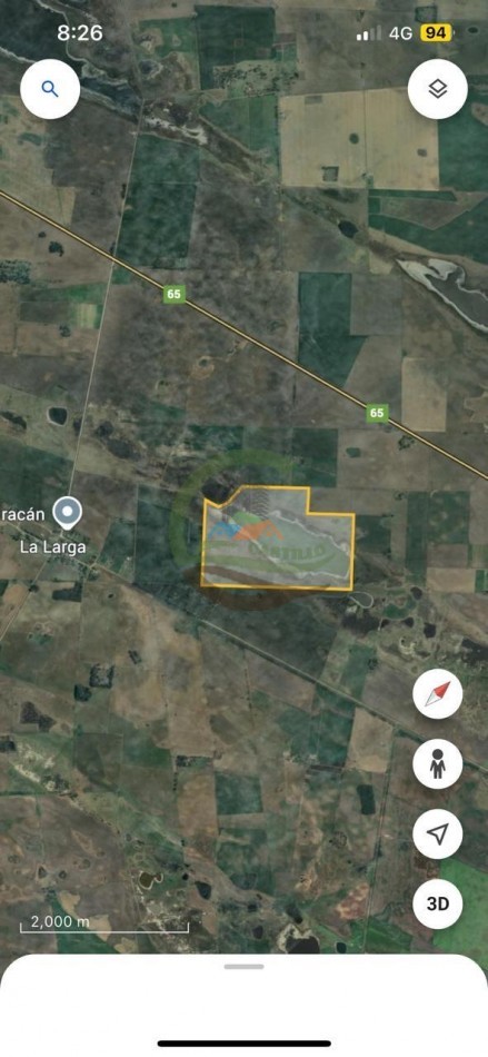 120 ha Mixto - Daireaux