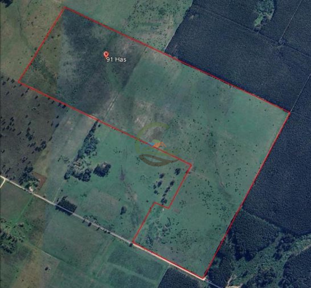 91 Ha Mixtas - San Salvador - Entre Rios