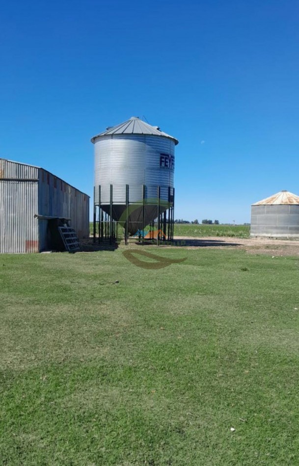 350 ha Agricolas - San Cayetano
