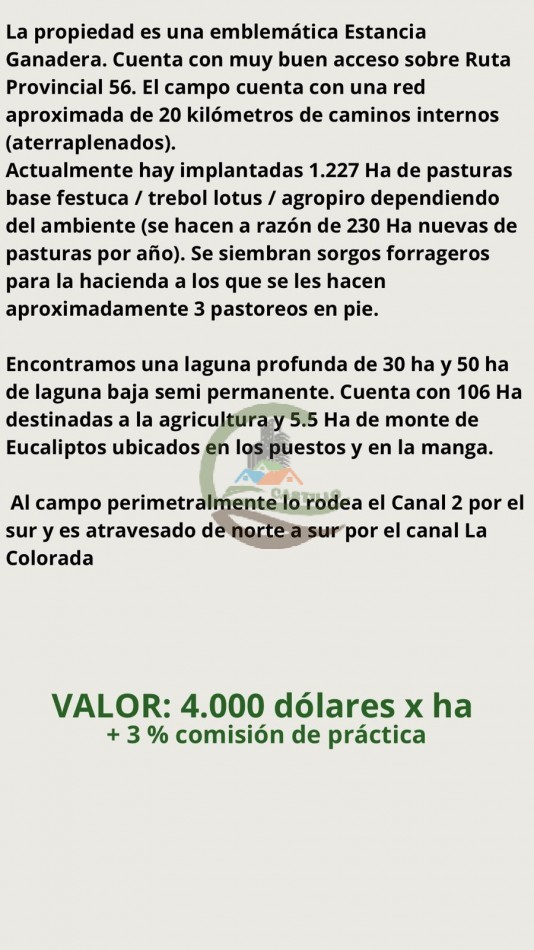 8616 ha Ganadero - Gral Lavalle