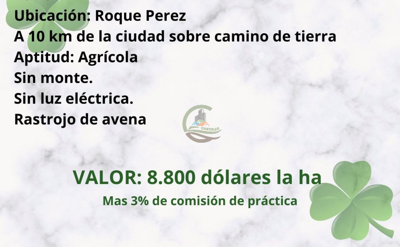 20 ha agricolas - roque perez 