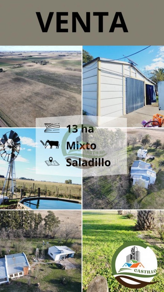 12,6 ha Mixtas - Saladillo