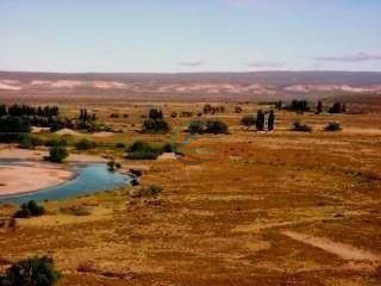 93000 ha Ganaderas - Pasos de los Indios - Chubut