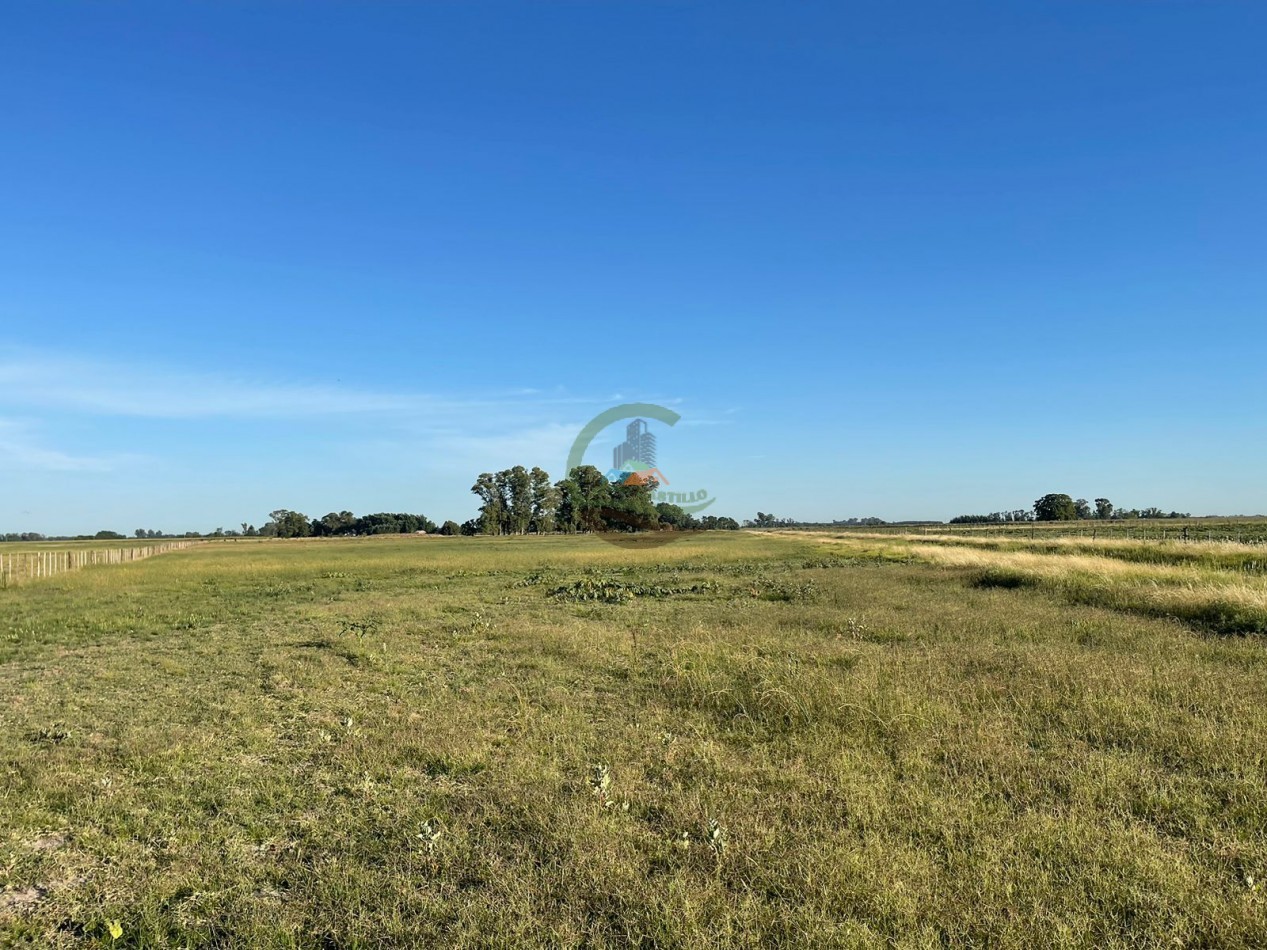18 ha Mixtos - Pedernales