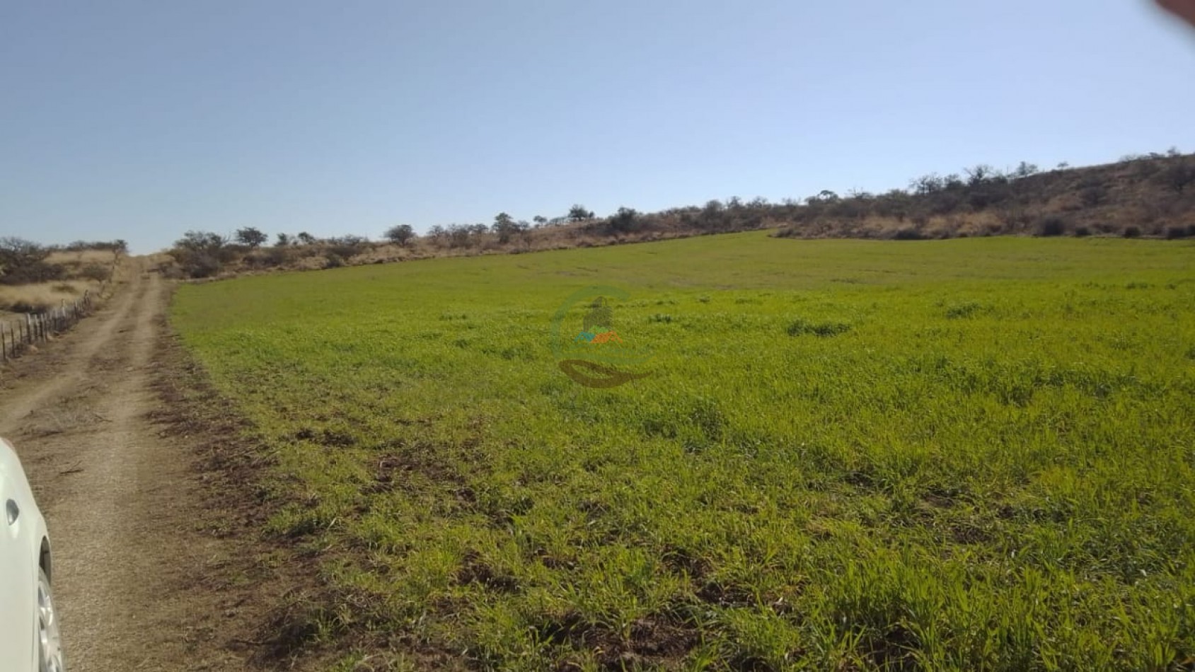 80 Ha Mixtas - Elena - Rio Cuarto