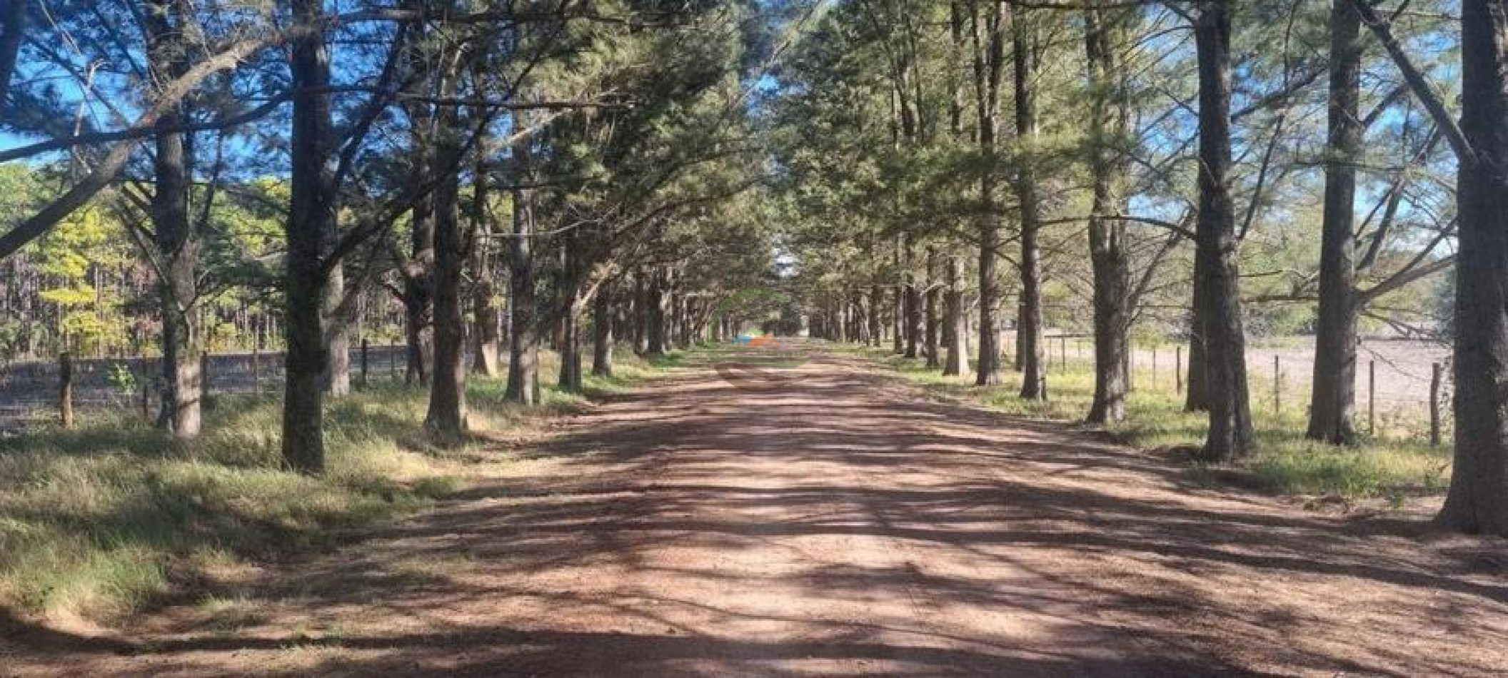 401 Ha Mixto - Lujan 