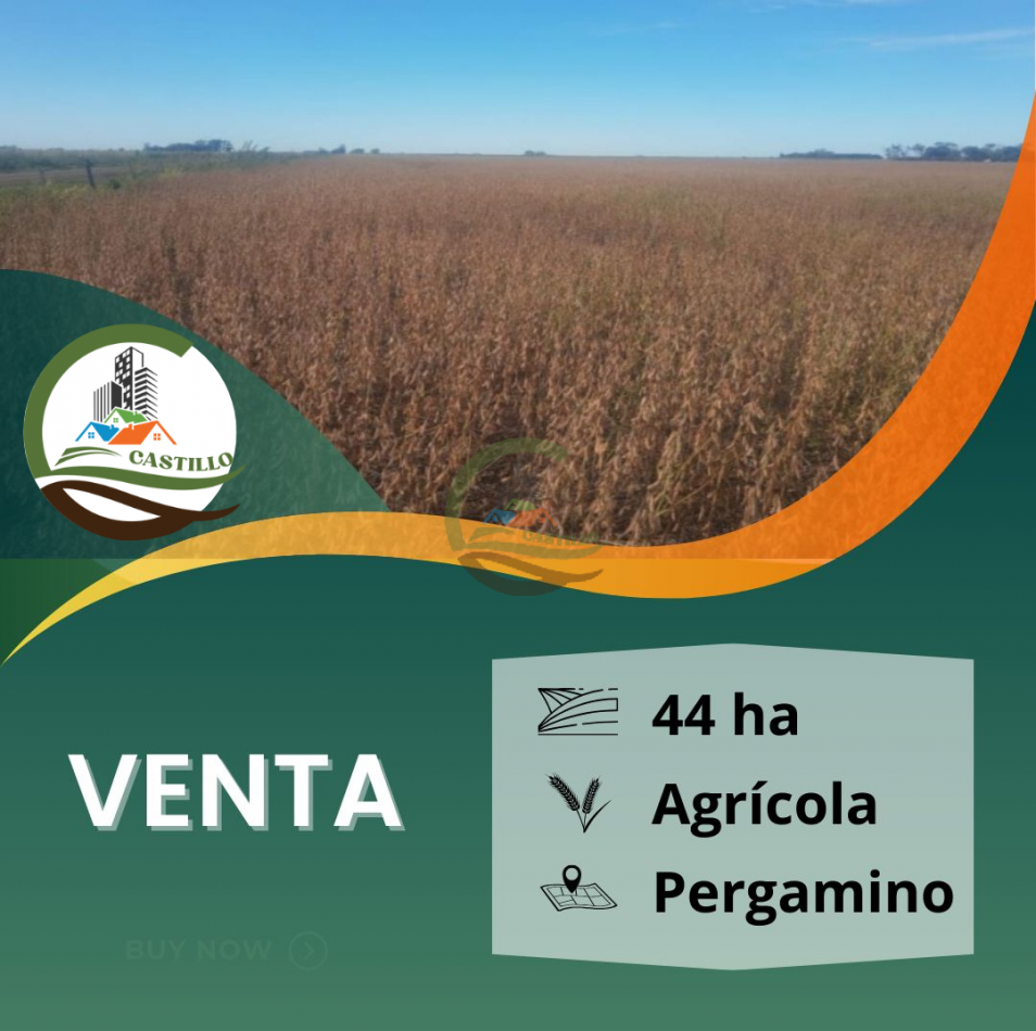 44 ha agricola - pergamino