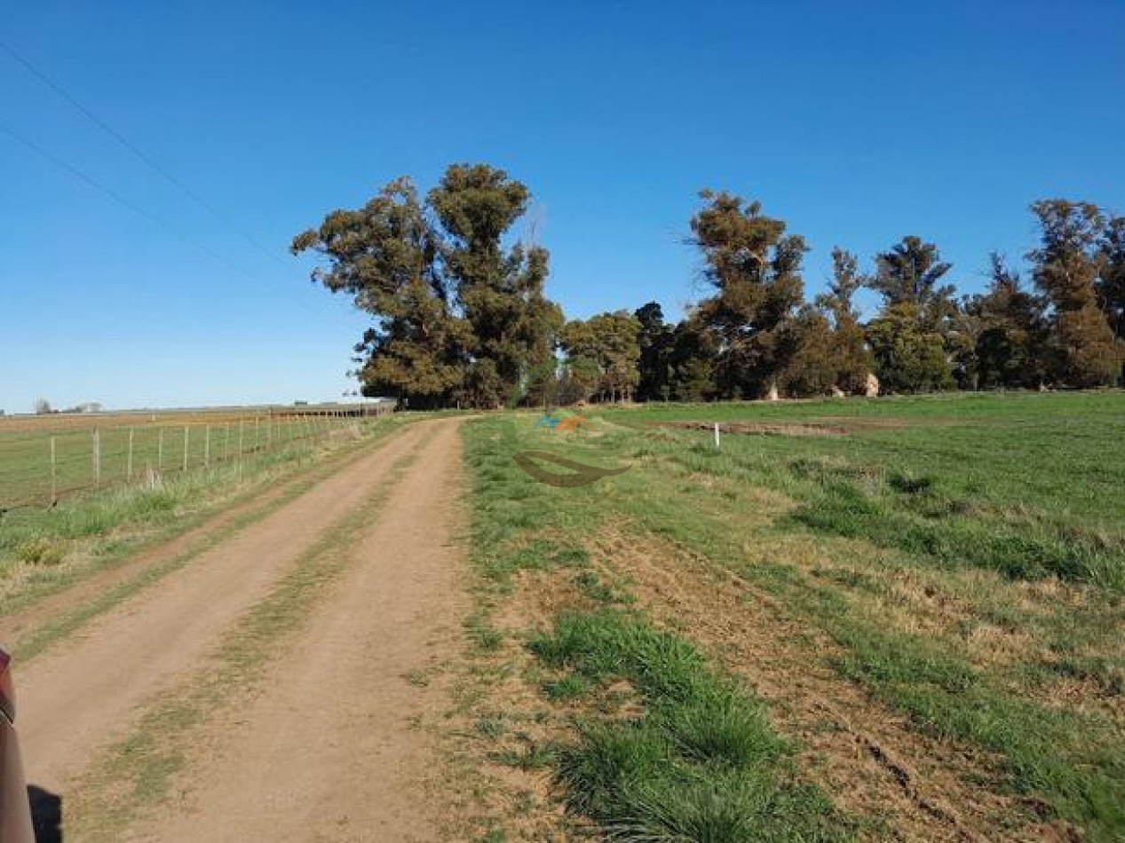 324 Ha Agricolas - San Cayetano