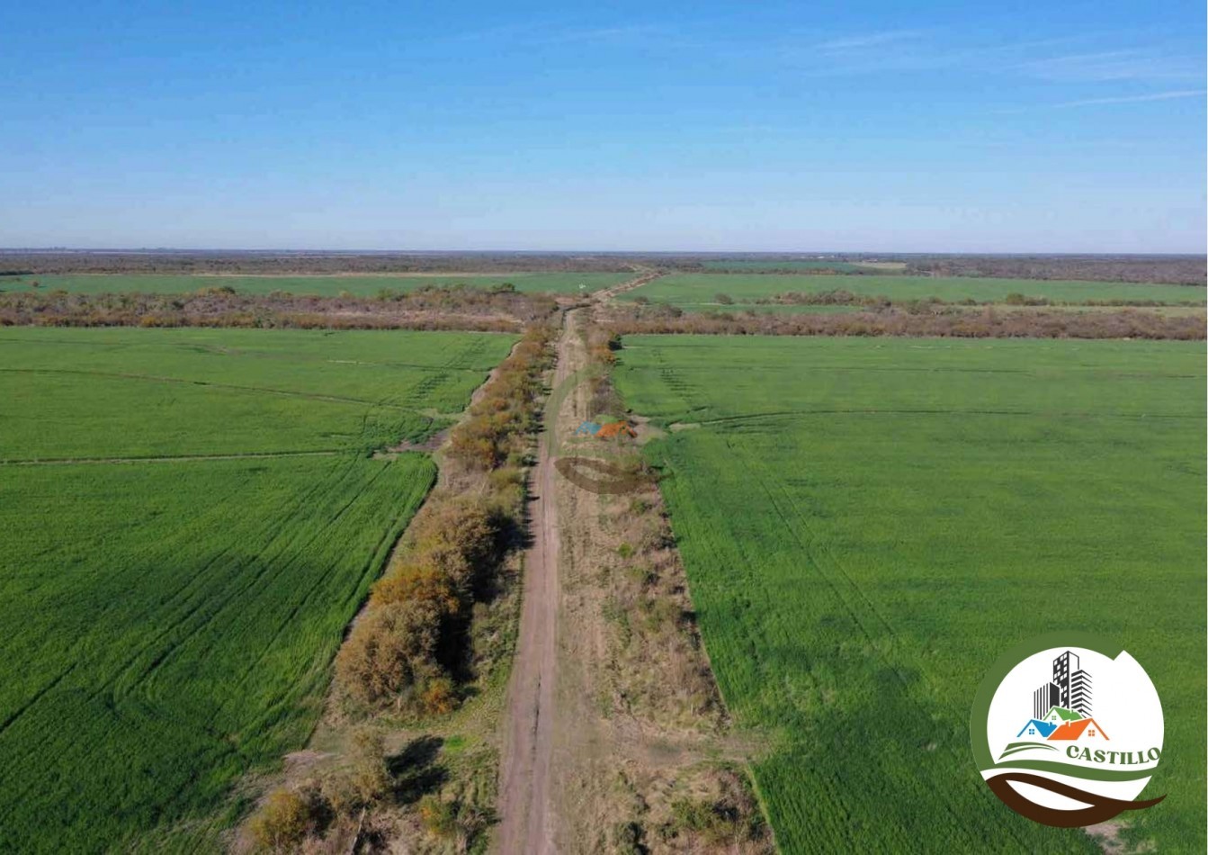 2658 ha Mixto - Entre Rios