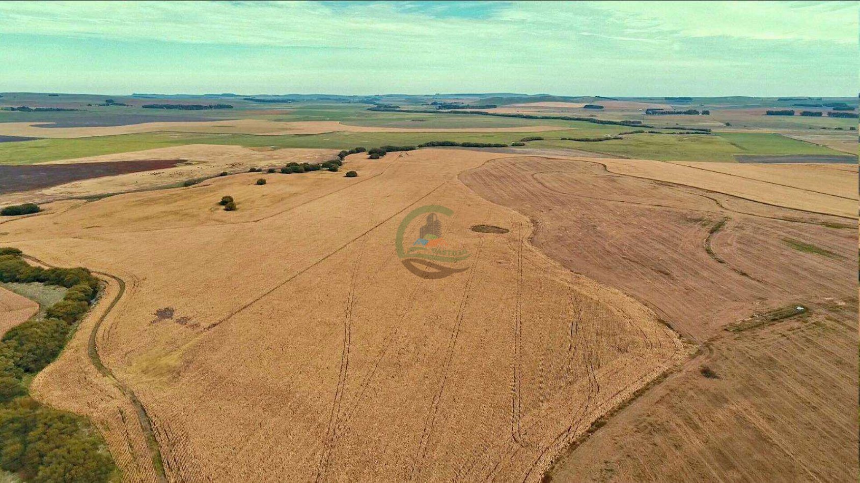 1007 Ha Agricolas - Tandil
