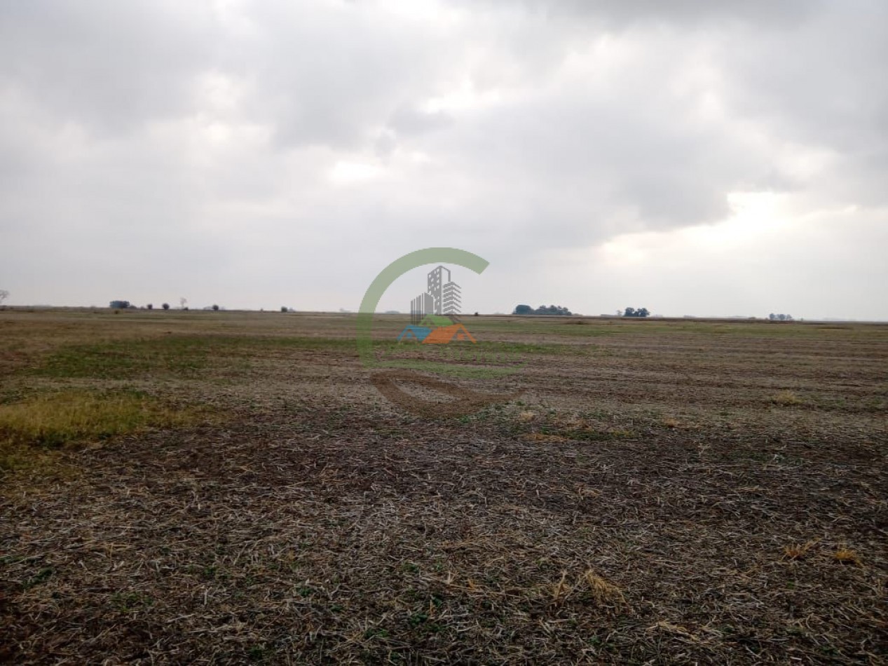 104 ha Agricola - Arequito Sta Fe