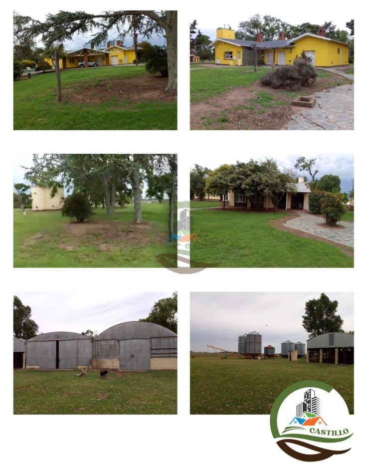 675 ha Mixtas - Carlos Casares