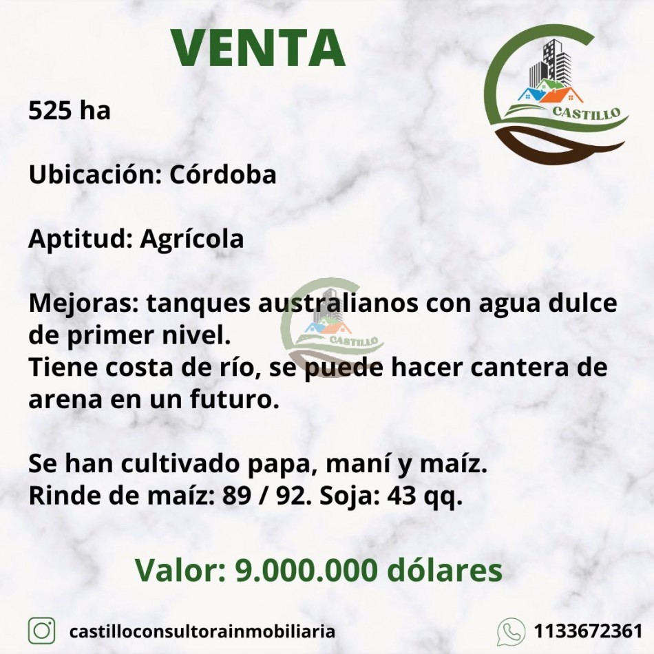 525 ha Agricola - Cordoba