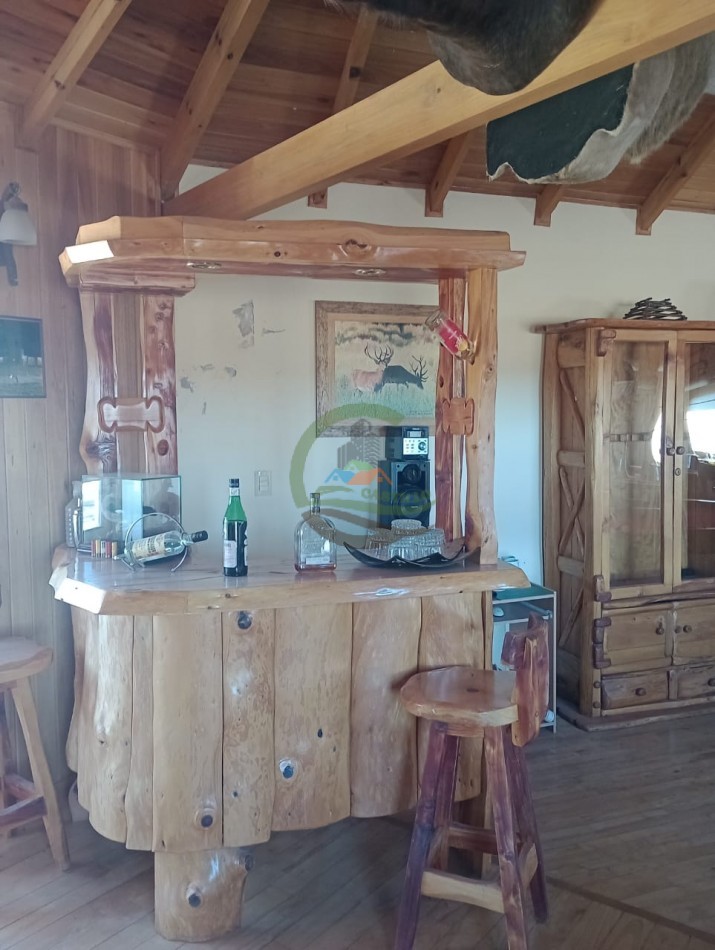 2500 ha Coto de caza - Quehue - La Pampa