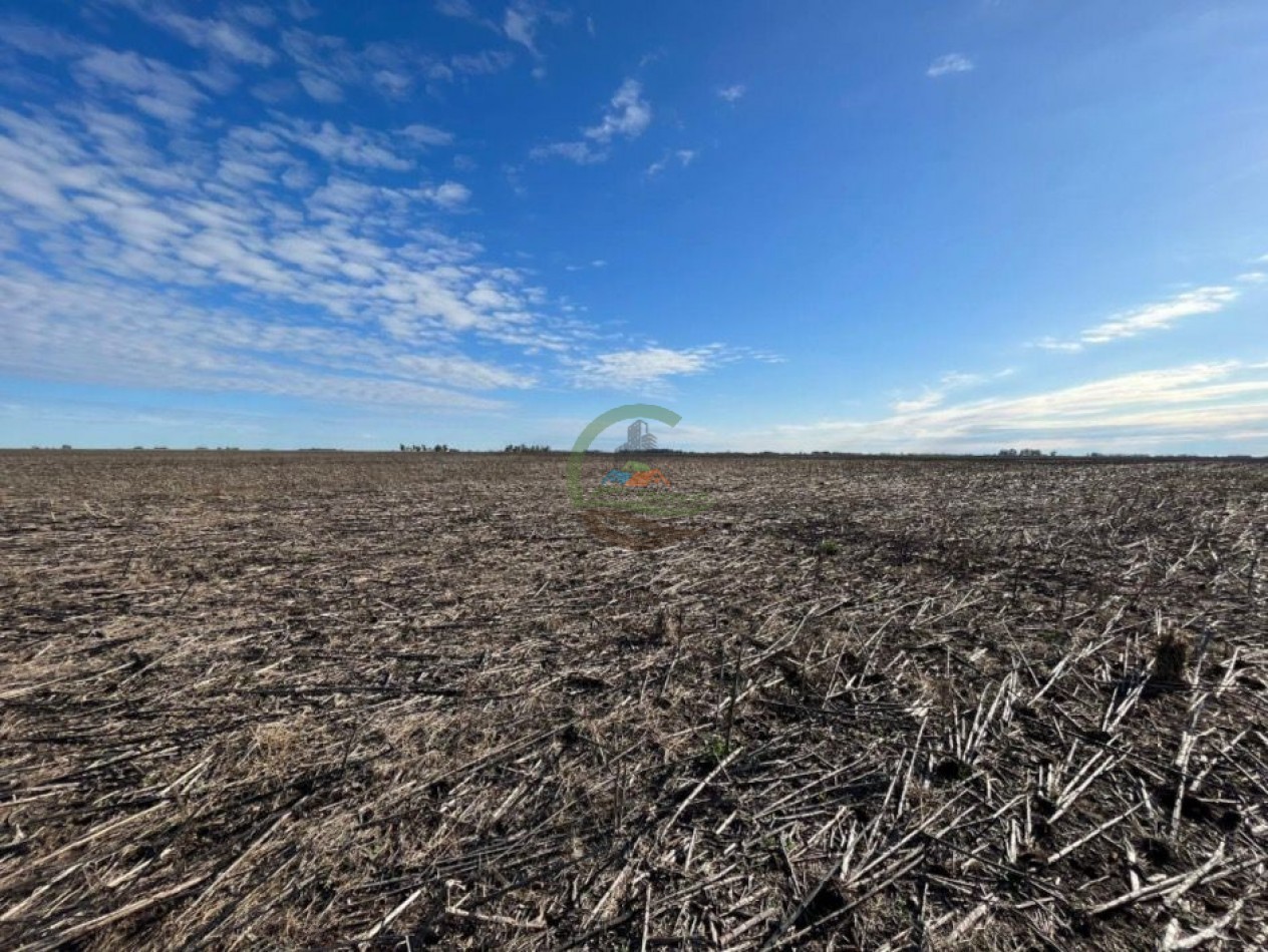 150 ha Mixtas - Polvaredas
