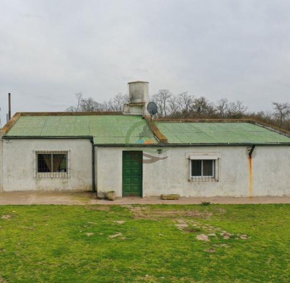 1795 Ha Ganadero - Chascomus