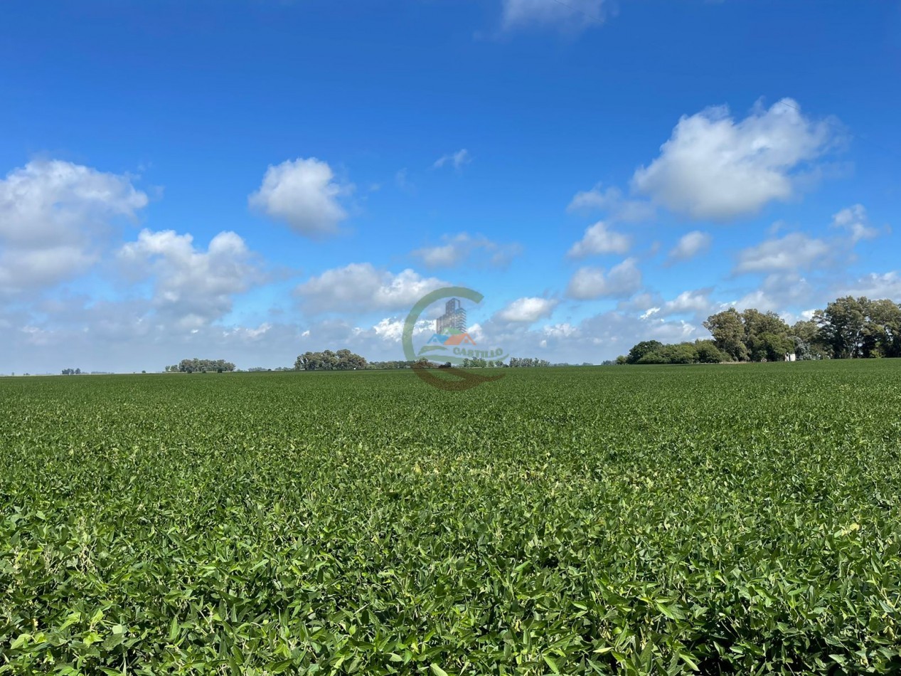 84 ha mixta - Bolivar