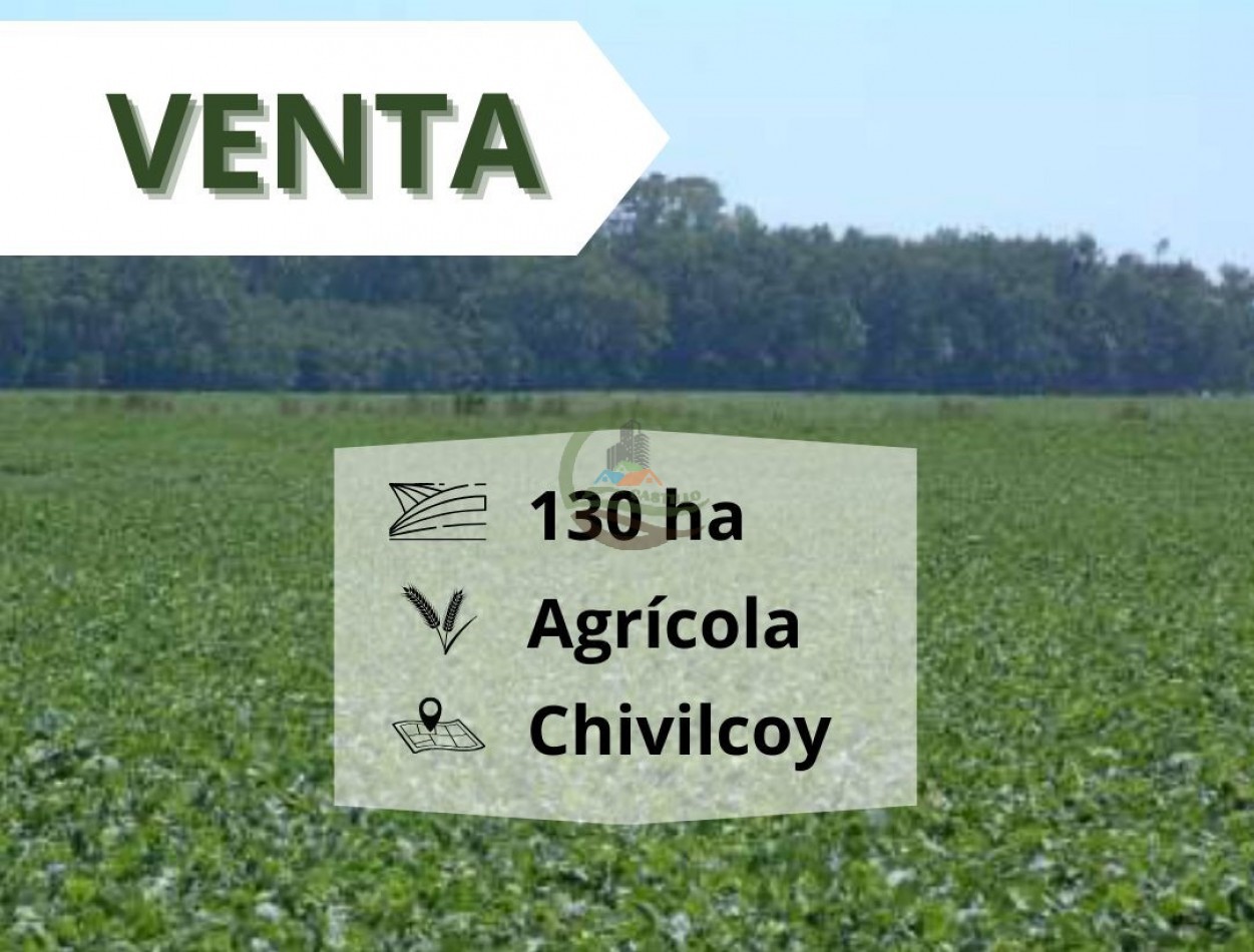 130 ha Agricolas - Chivilcoy