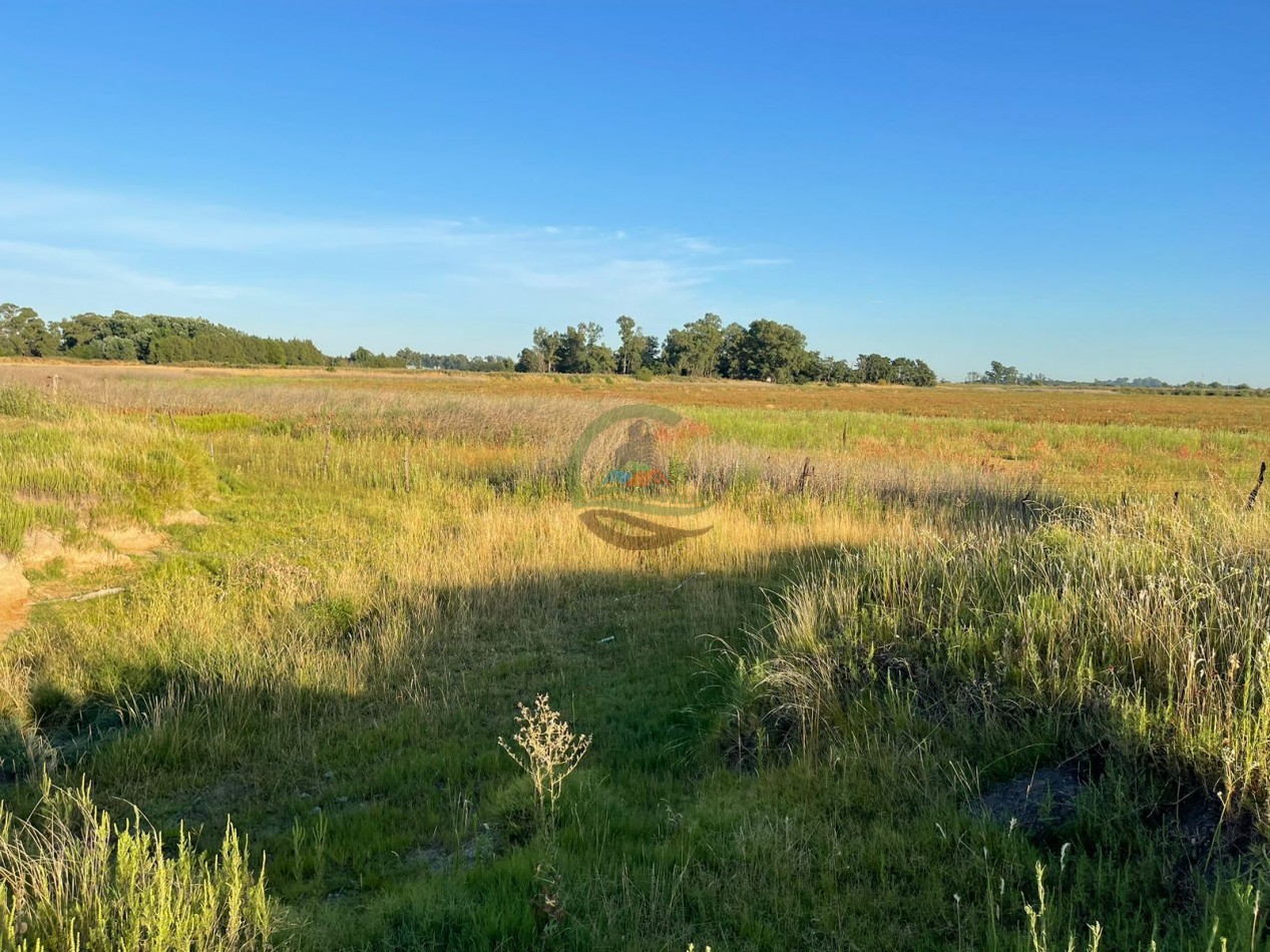 18 ha Mixtos - Pedernales