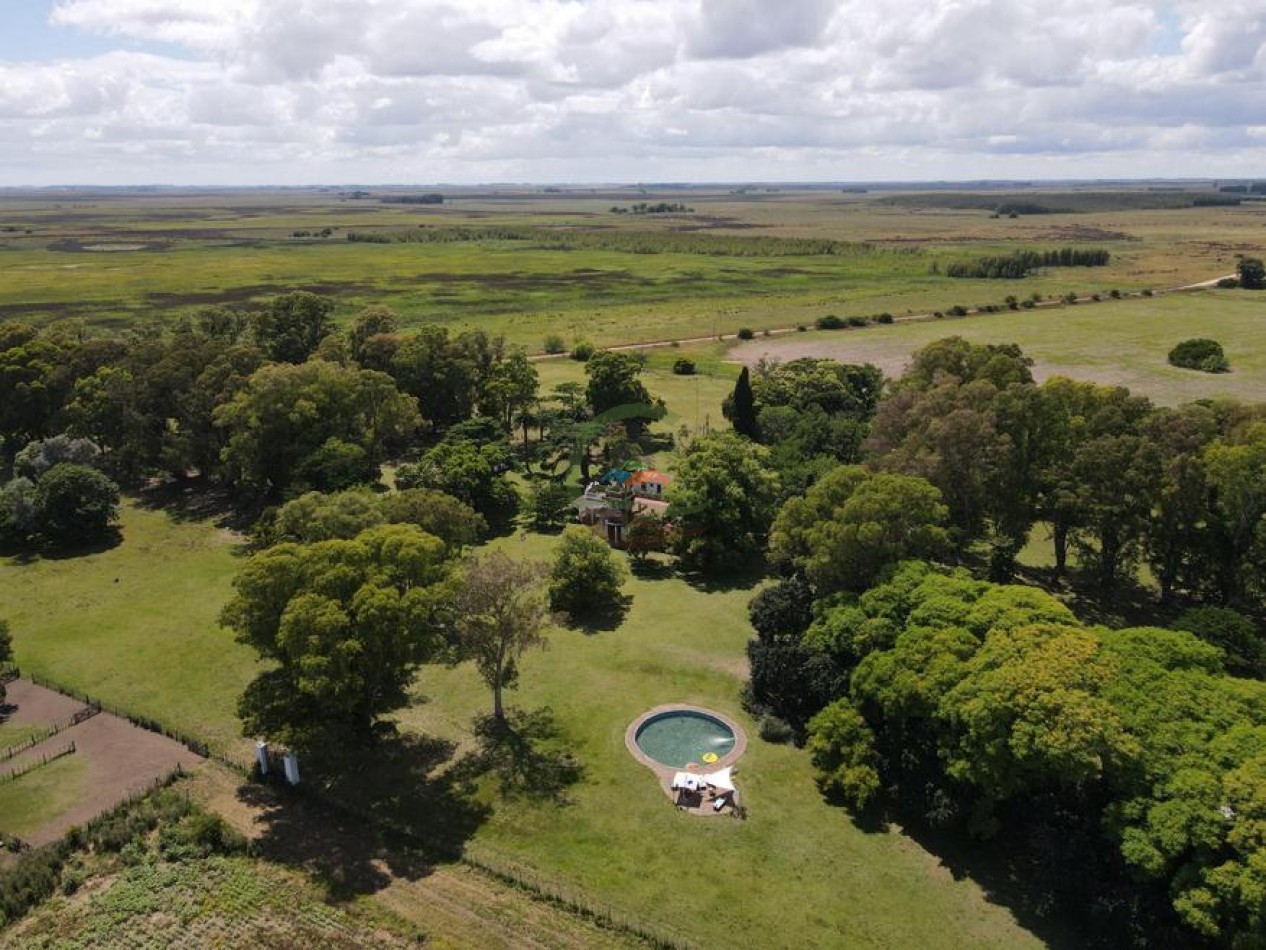 899 Ha Mixtas - Chascomus