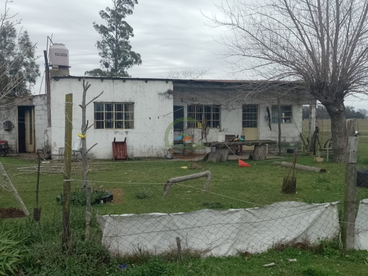 286 ha Ganaderas - Las Flores