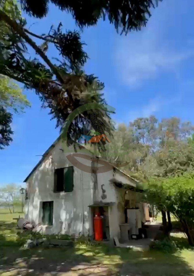 220 ha Agricolas - Balcarce  