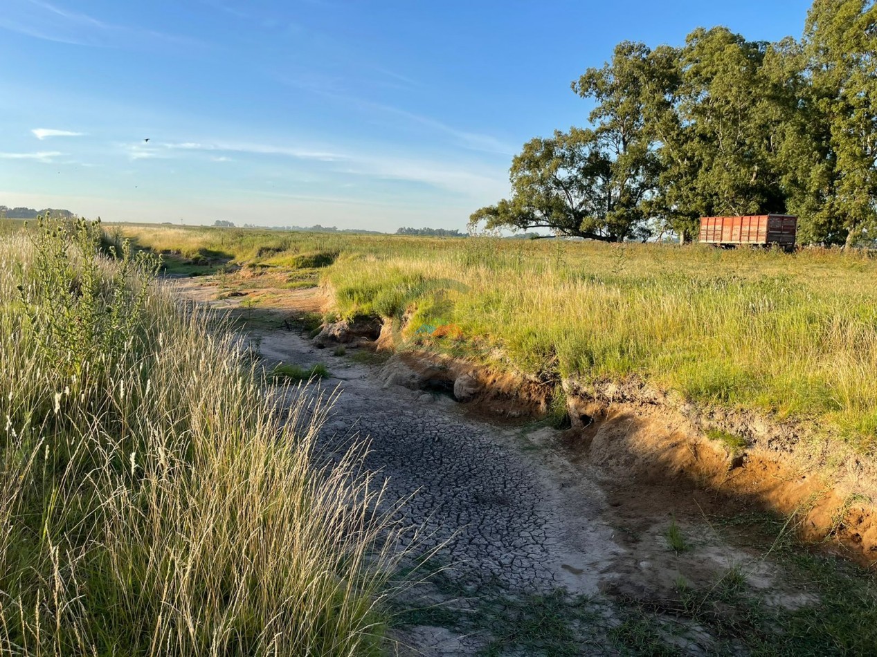 18 ha Mixtos - Pedernales