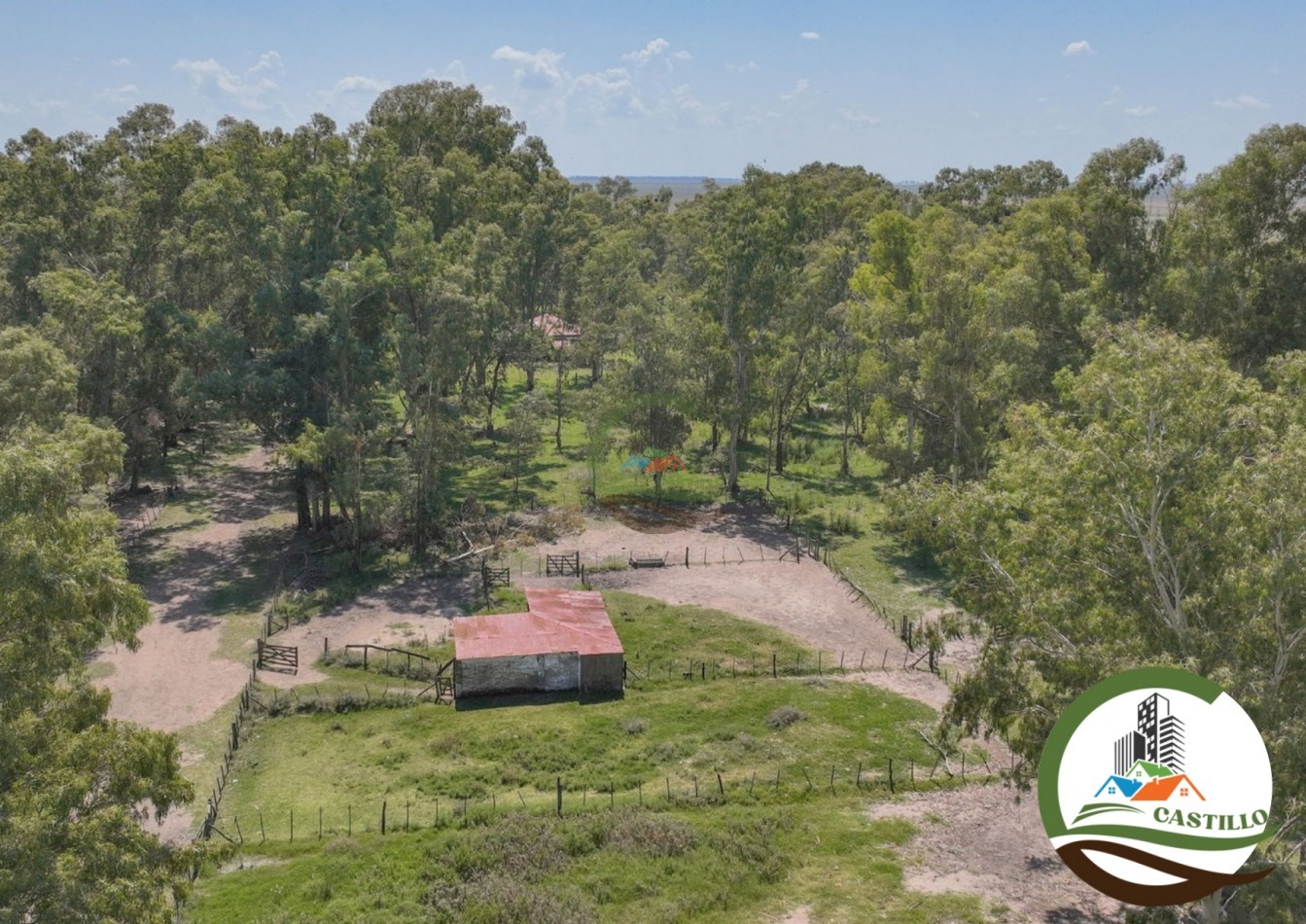 3275 ha ganaderas - general alvear