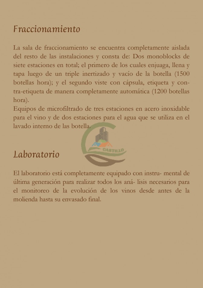 Bodega - Cafayate