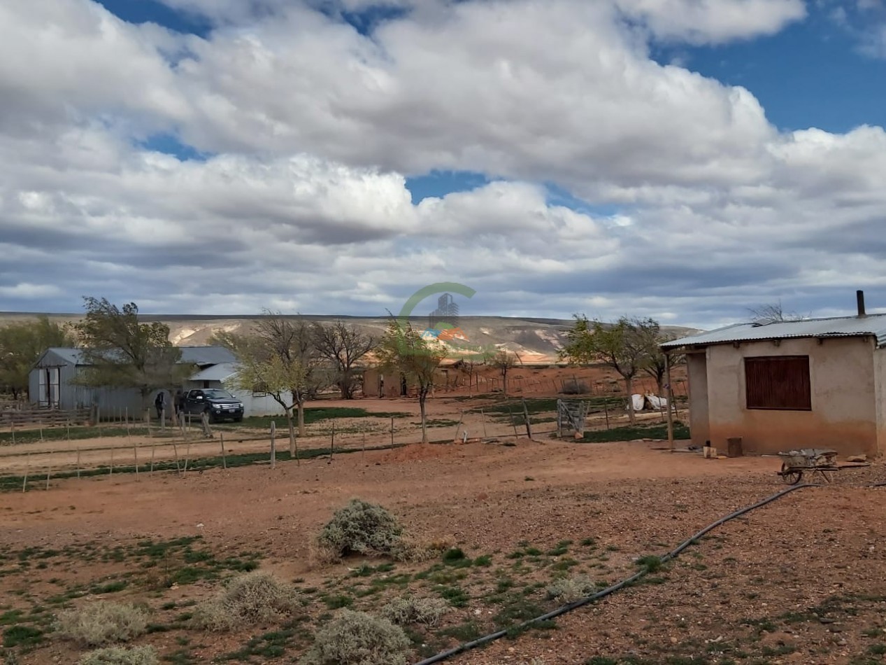 50000 ha Ganadero - Santa Cruz