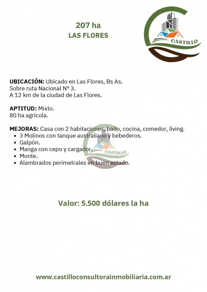 207 ha mixtas - las flores
