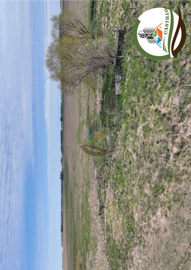 204 ha mixtas - olavarria