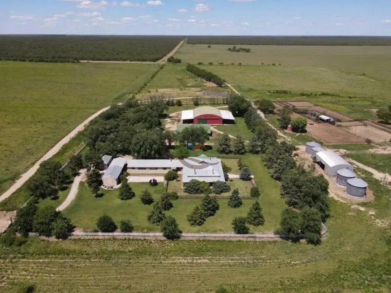 5000 Ha Ganadero - Conhelo - La Pampa