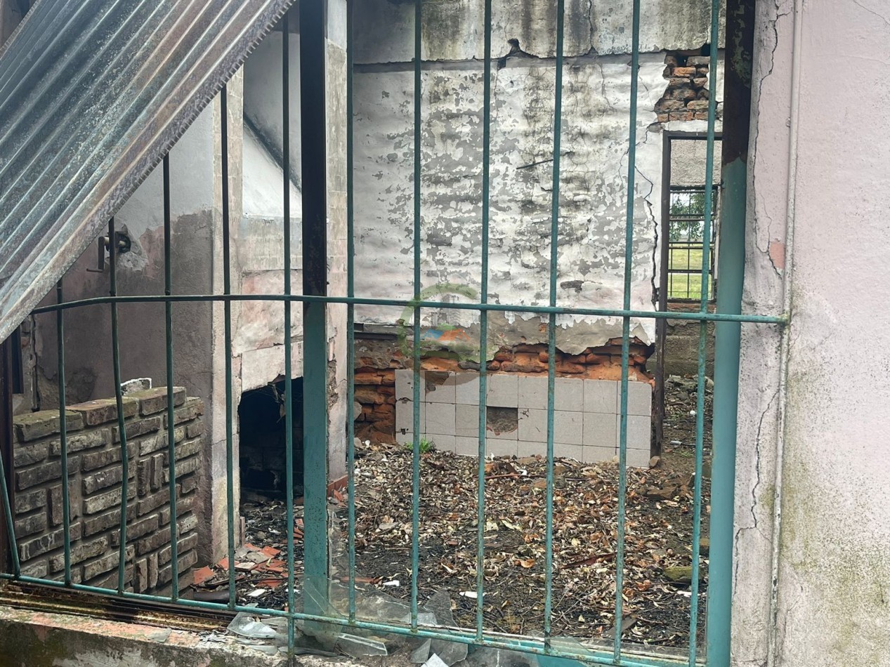 47 ha Ganadera - Olavarria