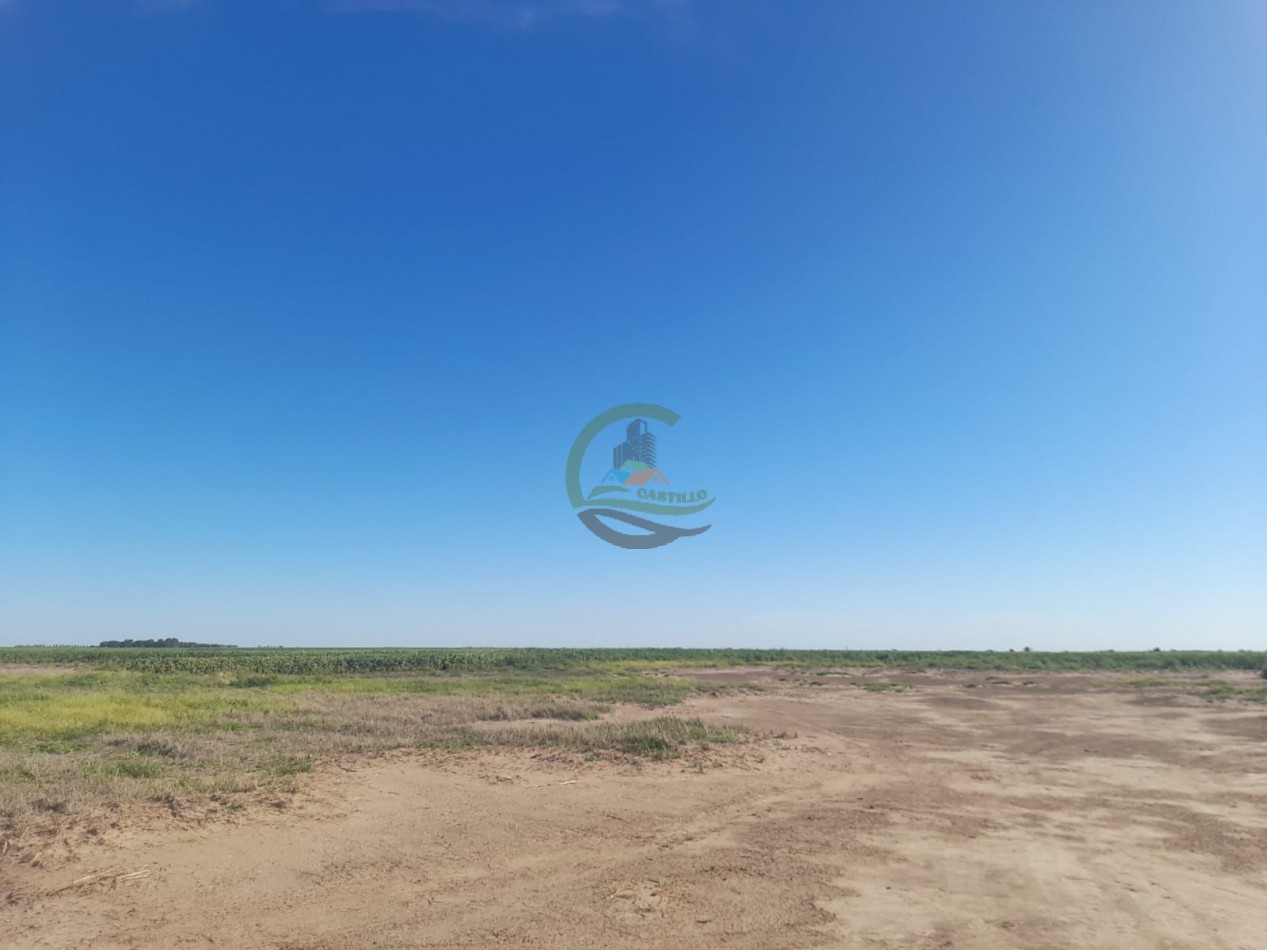 2200 Ha Agricolas - Laboulaye - Cordoba
