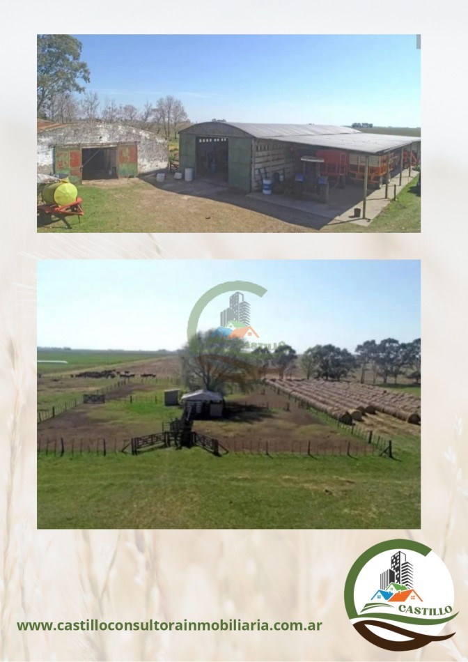 828 ha Mixto - Ayacucho