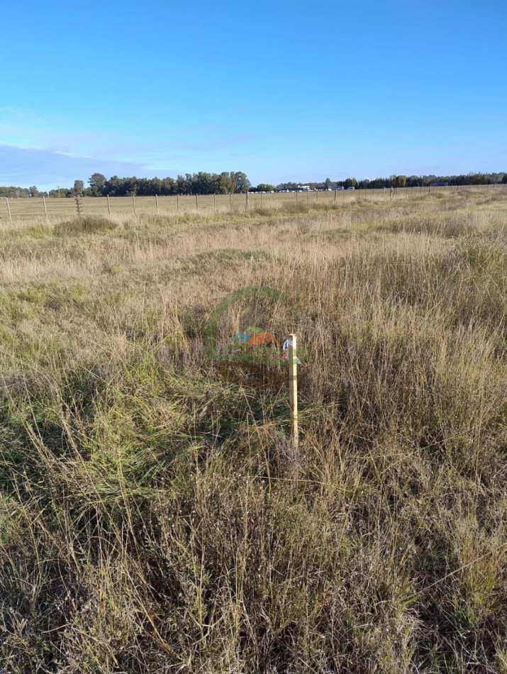 Lote 2 ha - Tapalque