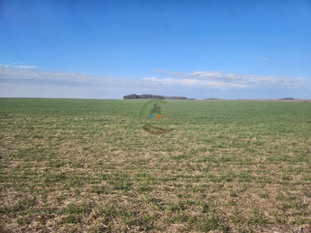 797 ha Agricolas - Bolivar