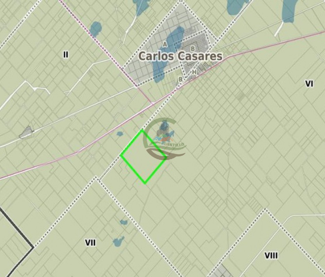 675 ha Mixtas - Carlos Casares