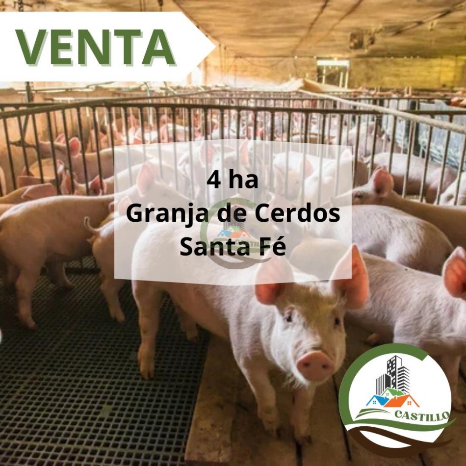 4 ha Granja porcina - santa fe