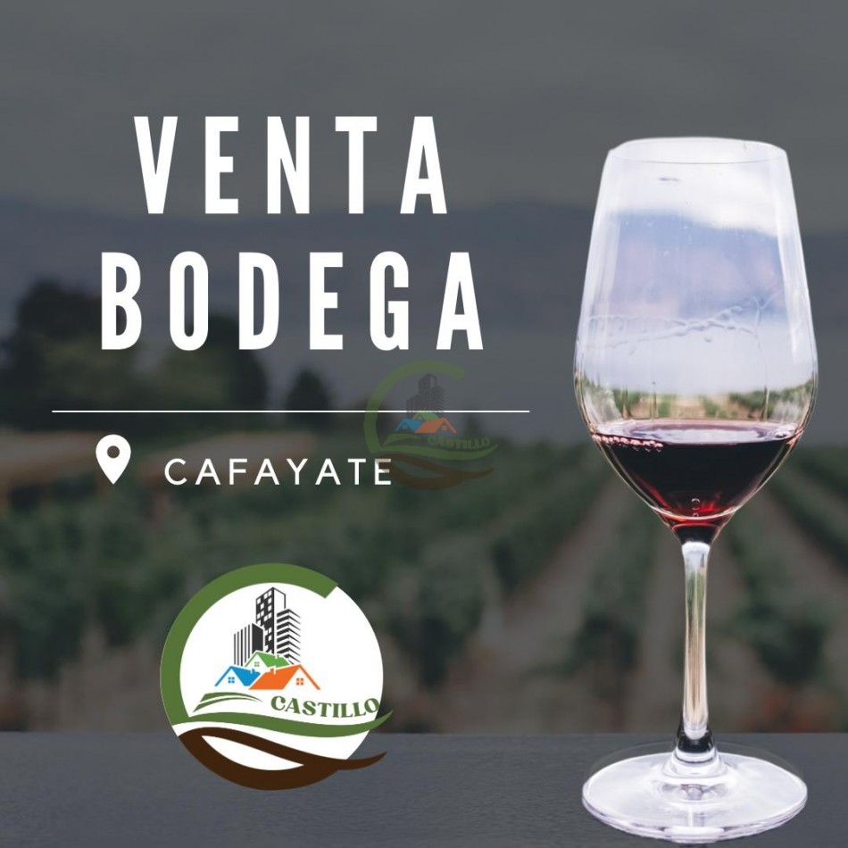Bodega - Cafayate