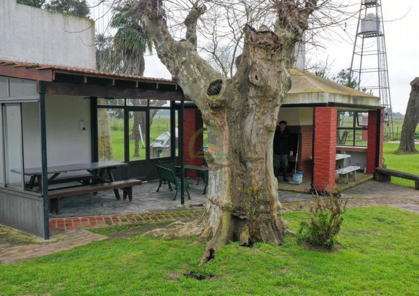 1795 Ha Ganadero - Chascomus