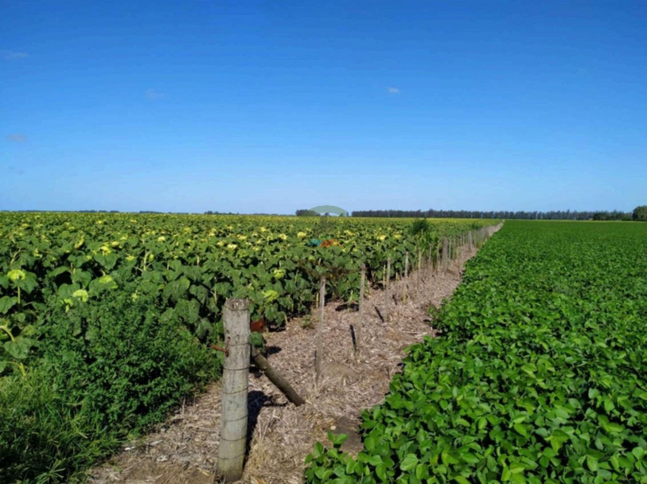 408 Ha Agricola - Miramar