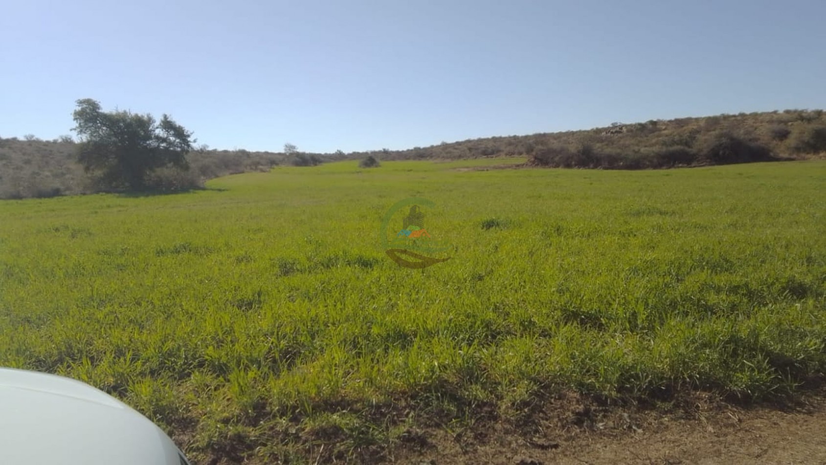 80 Ha Mixtas - Elena - Rio Cuarto