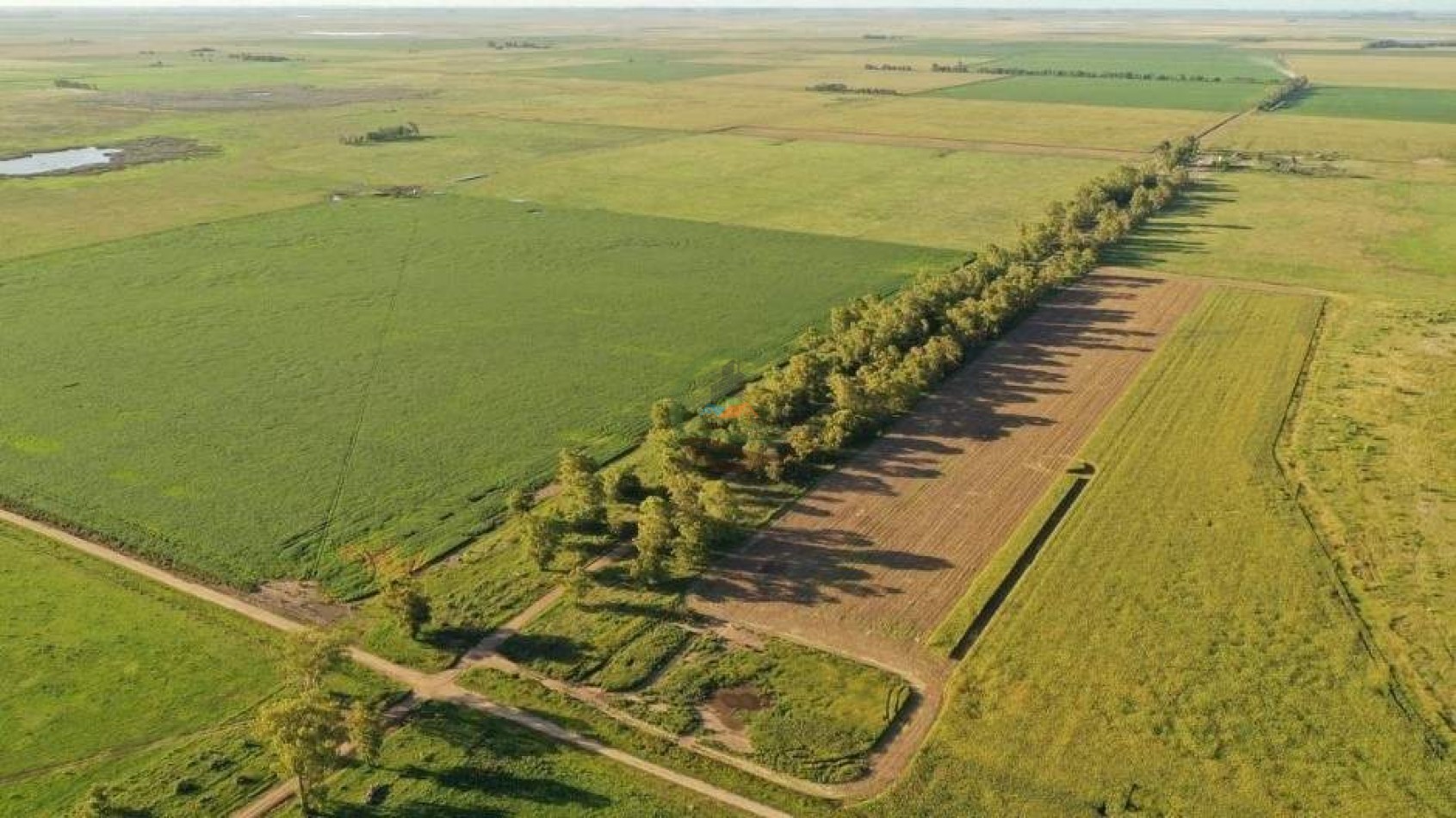 1138 ha agricolas - gral villegas