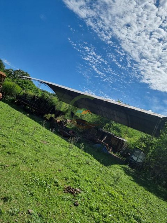 6000 Ha Mixtas - Anta - Salta