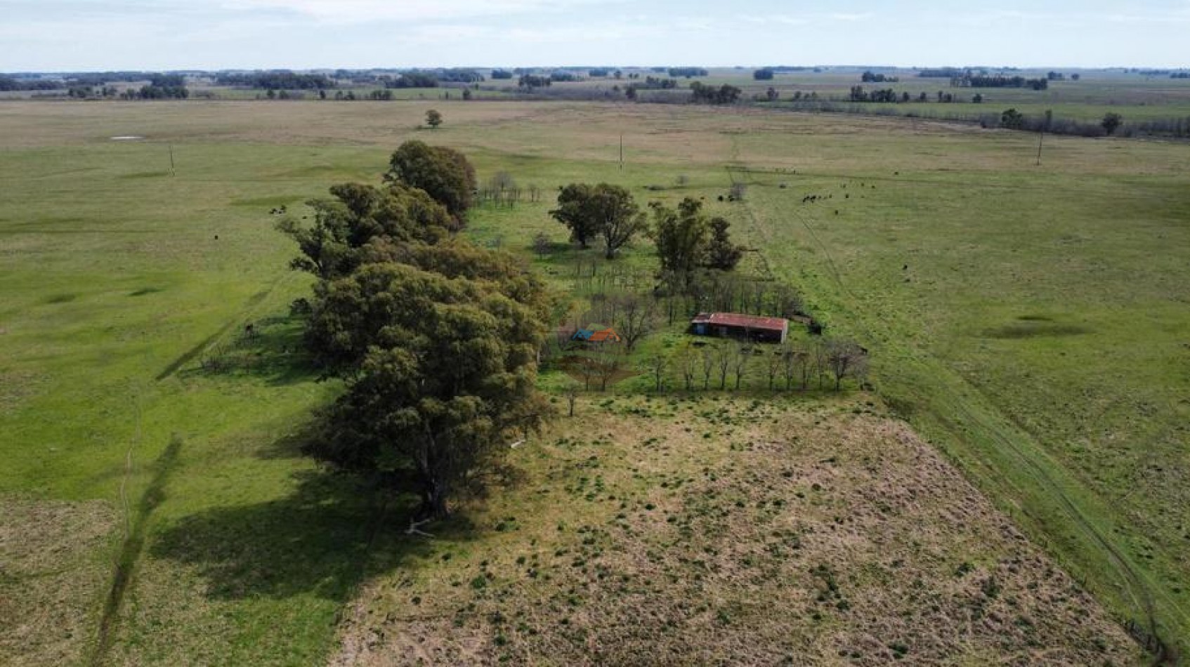 90 Ha Ganadero - Las Flores
