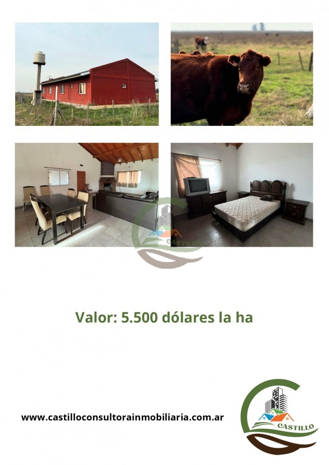 430 ha Ganadera - Cañuelas