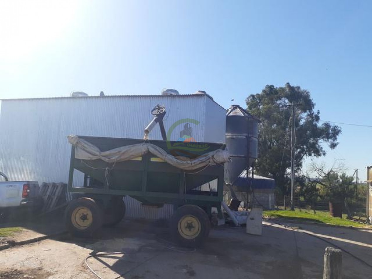95 Ha Granja de Cerdos - Trenque Lauquen