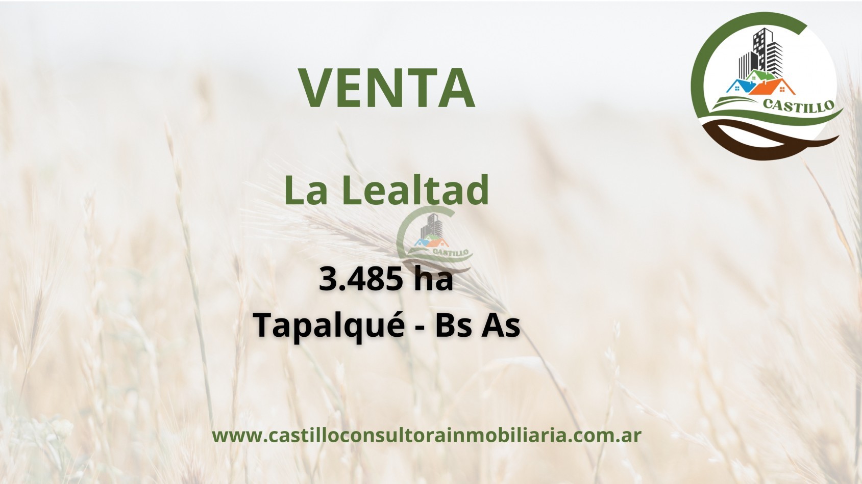 3485 ha Ganadero - Tapalque